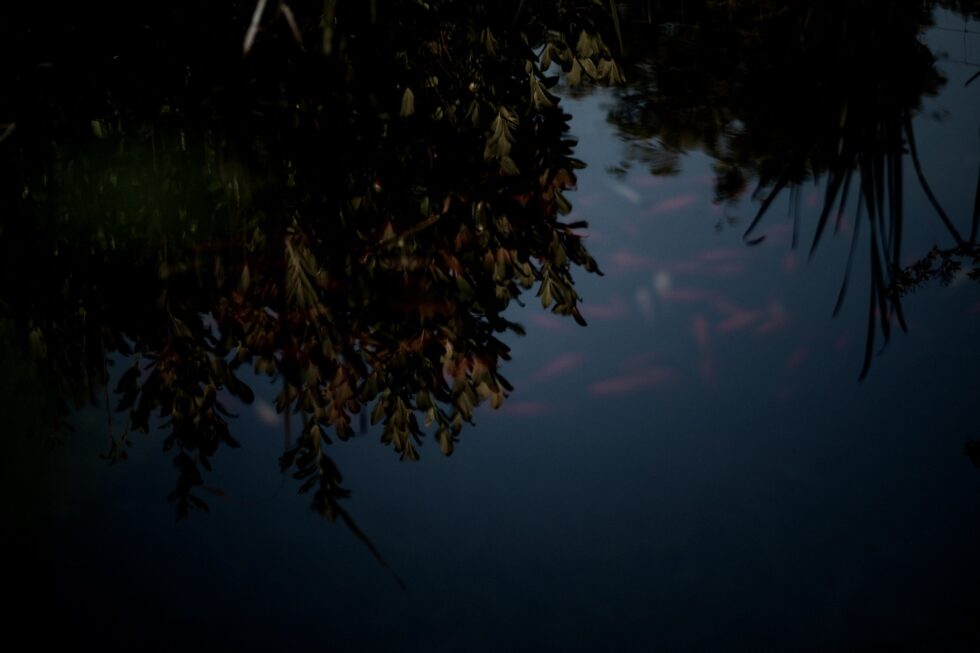 Fotograf Portrait Emotionen